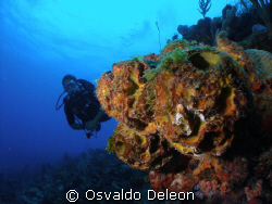 The is a nice and cool site to diving by Osvaldo Deleon 